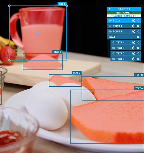 Multiple objects tracked in one scene